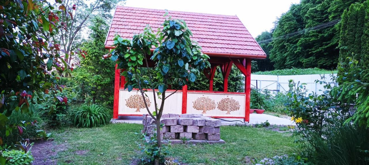 Parva Foresta Appartement Miskolc Buitenkant foto